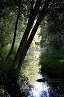 Cjp_2008_09_10_171442 (2).jpg